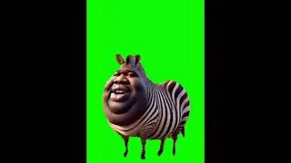 Zebra burp meme on green screen