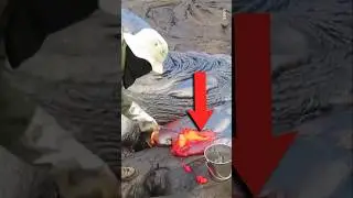 Verdens Farligste Job! 💀⚠️