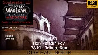 WoW Classic Hardcore Fresh | Soulseeker EU | Dire Maul Tribute 28 Min Run | Holy Paladin PoV