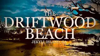 Visiting The Driftwood Beach In Jekyll Island, GA At Sunset [GA STATE PARKS] June 2022