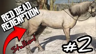 Am îmblânzit un Stallion! - Red Dead Redemption 1 - #2