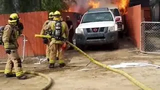 Man Risks His Life to Save His Dog from a House Fire