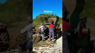 Eski Usul Patoz ile Susam D&ouml;v&uuml;yoruz 🧑&zwj;🌾 #keşfet #viral #youtubeshorts