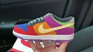 Nike Dunk Low SP Viotech shoes