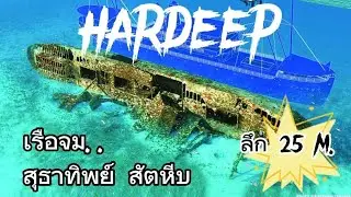 HARDEEP​ SHIPWRECK