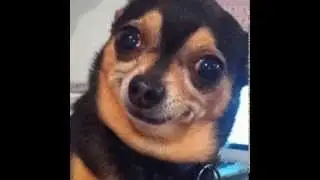 ermahgerd