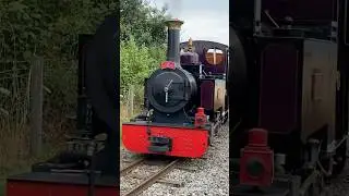 UK Steam - Narrow Gauge steam engine, &lsquo;Anne&rsquo;