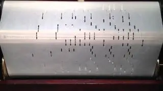 A  Bum Rag.by Schiller 1904. A Great Player Piano Roll by Frank Himpsl