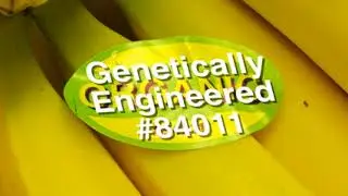 Food Labeling  How to Identify Conventional, Organic and GMO Produce