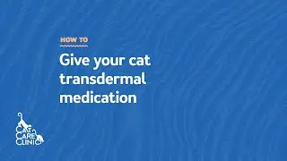 How to apply a Transdermal Medication to your Cat (Cat Care Clinic | Madison, WI)