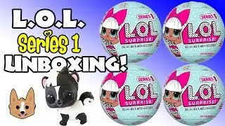 L.O.L. Surprise Series 1 Dolls Unboxing - Pet Adoption Skit