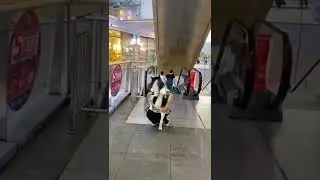 Dog: I'm Afraid of Escalator😆