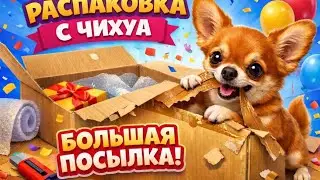 Большая распаковка с Temu. Хотите ссылки? Пишите в комментариях 