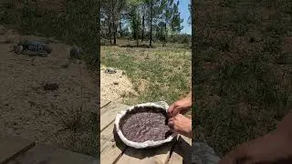 Kuchen backen im Camping-Ofen #zupfkuchen #vanlife #vegan #omnia #Pentoleagnelli