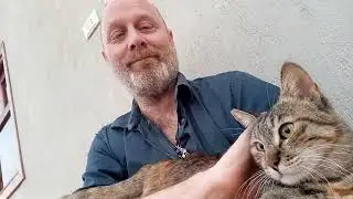Stray Cat Cuddle 😻