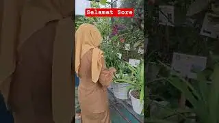 Kebunku #video #viralvideo #video #viralshorts #short #shorts #shortvideo #anak #vlog #fyp #fun #ok