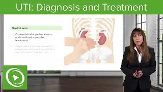 UTI: Diagnosis and Treatment &ndash; Nephrology | Lecturio