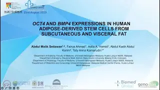 OCT4 AND BMP4 EXPRESSIONS IN HUMAN ADIPOSE-DERIVED STEM CELLS FROM SUBCUTANEOUS AND VISCERAL FAT