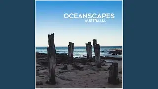 Morning Ocean Sounds