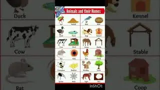Animals and their homes #animals #animal #home #shortvideo #shorts #englishlanguage