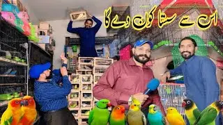 عدیل بھائی لائے اپ کے لیے افر ہی افر اور سستے پرندے