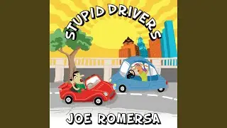 Stupid Drivers