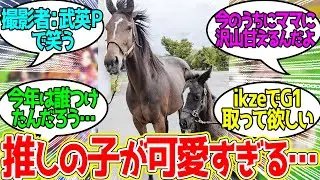 メイケイエール母子 ← 健やかに日々を過ごしている模様…に対するみんなの反応！【競馬 の反応集】
