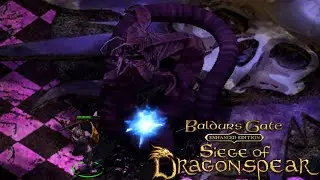 Baldur's Gate - Siege Of Dragonspear: Chapter 10 - Never Confuse A Neothelid With An Illithid