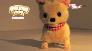 3033 BATTERY OPERATED CHIHUAHUA DOG