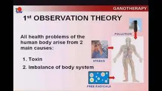 Benefits of DXN Products: The Best Health Supplement!