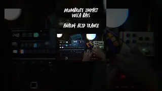 Analog Acid Techno - Drumbrute Impact | Volca Bass