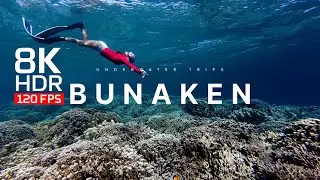Bunaken, Indonesia 🌊🐠 | Underwater Paradise in 4K