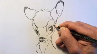 How to Draw Bambi Easy