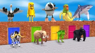 Long Slide Game With Cow Elephant Gorilla Hippopotamus Tiger Choose The Right Door Animals 3D Game
