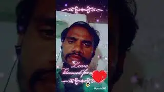 muhammadMubeen