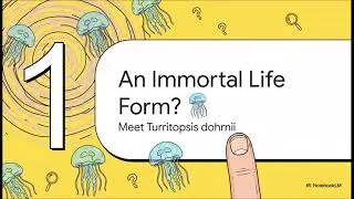 Immortal Jellyfish Reverts to Baby When Sick: Epic Life Cycle Reset! ✨🧬 (Nature's Cheat Code!)