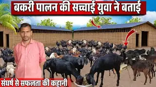 4 वर्ष का अनुभव ✅💯 धैर्य और संघर्ष Goat Farming में सफल बनाता है || Integrated Farming System Model