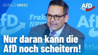 Nur daran kann die AfD noch scheitern! – Gerald Grosz