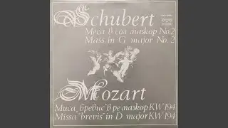 Missa brevis in D Major, K. 194: Credo