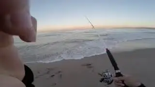 DOCKWEILER STATE BEACH SURF FISHING FOR HALIBUT CATCH AND RELEASE