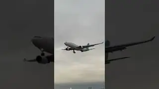 level a330-200 landing on runway 25L at lax