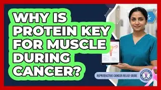 Why Is Protein Key For Muscle During Cancer?