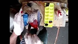 Spirit Stains 2 ASH