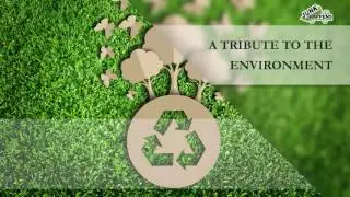 An Eco-friendly Junk Removal Service in Minneapolis MN