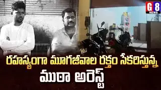 మేకలు, గొర్రెల నుండి రక్తాన్ని తీసి మనుషులకు ఎక్కిస్తున్నారా? G8 NEWS Ground Report 