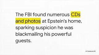 The Epstein Case