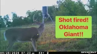 Bow Hunting Fail!! Bad shot placement! (10-1-2020)