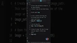 Open Any Image & Get Its Details in Python! 🖼️🐍 #python #pillow #imageprocessing #thedevsessions