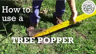 How to Use a Tree Popper to Remove Alien Invasive Plants in South Africa