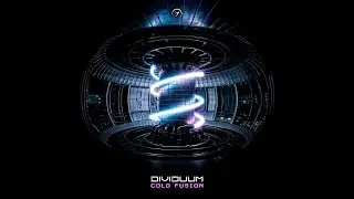 Dividuum - Tokamak